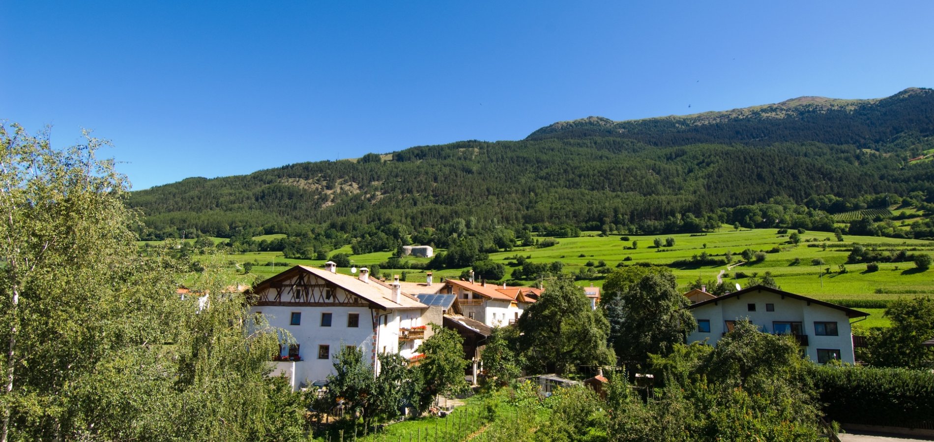 Sonnenheimhof Ferienwohnung Tartsch 